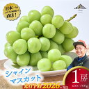 【ふるさと納税】【2026年発送分 先行予約】【お試しサイズ】シャインマスカット 1房 フルーツ 山梨県産 果物 シャイン マスカット ぶどう ブドウ 大粒 種なし 9000円 九千円 9,000円