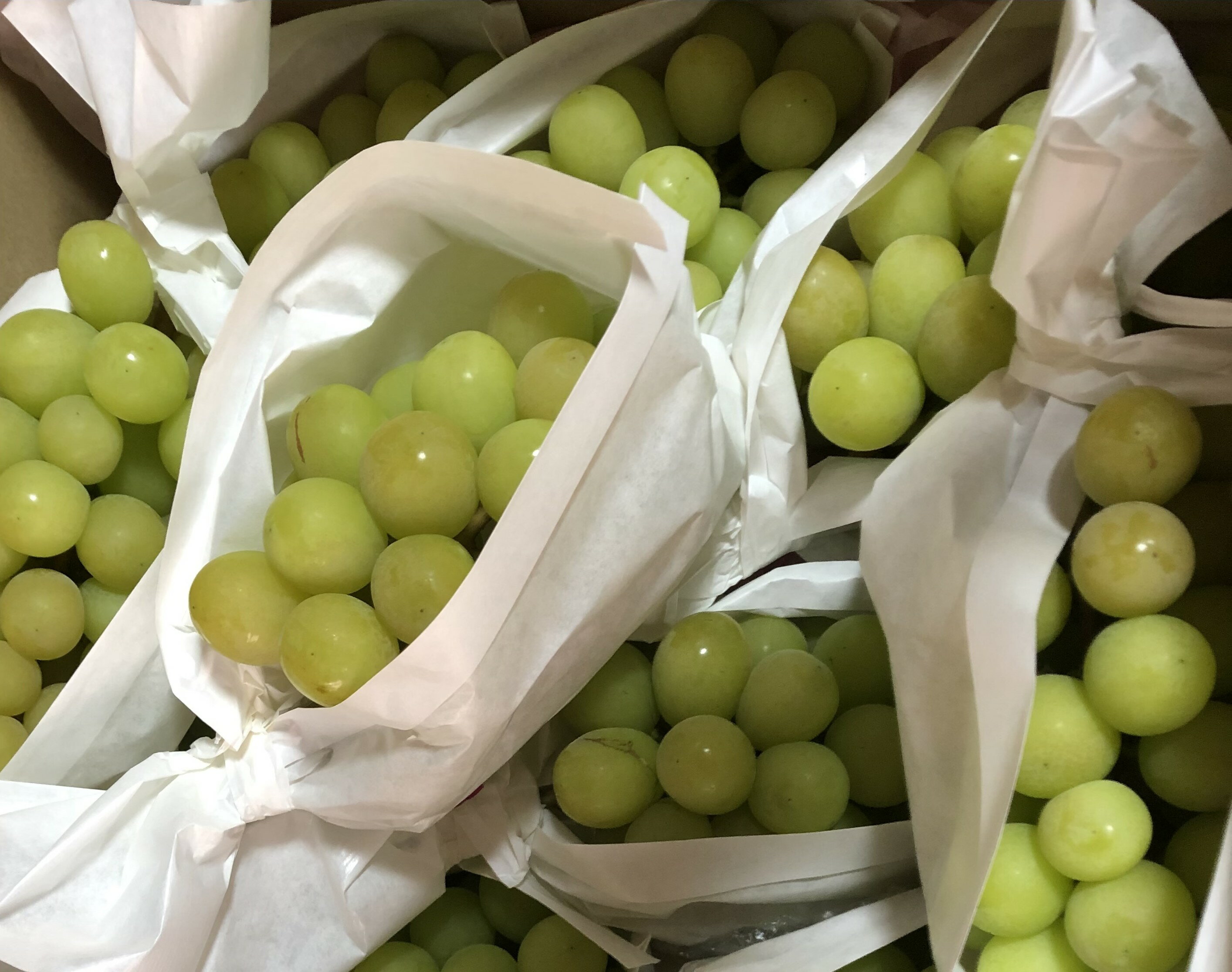 山梨県富士川町の画像3