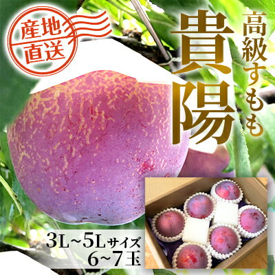【ふるさと納税】【2023年発送分】貴陽（3L－5L）6-7玉　高級すもも プラム 山梨県産 フルーツ 産地直送 ギフトのサムネイル