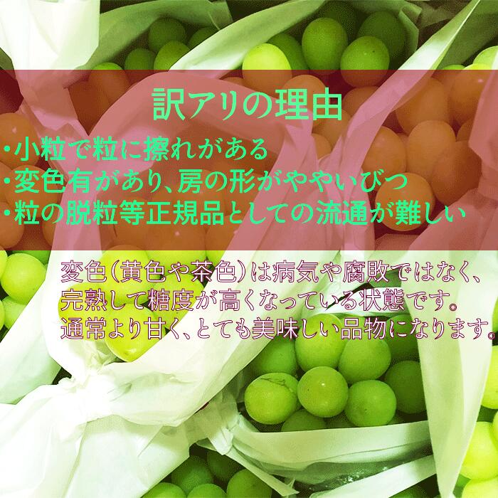 山梨県富士川町の画像2