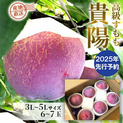 [2025年発送分 先行予約]貴陽(3L-5L)6-7玉 すもも プラム 李 スモモ 山梨 果物 くだもの 山梨 やまなし フルーツ 産地直送 富士川町