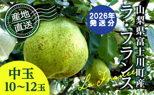 [2026年発送分 先行予約] ラ・フランス 中玉 10-12玉 (3.5kg以上) ※2026年10月中旬以降発送予定 洋ナシ 洋梨 フルーツ 果物 富士川町