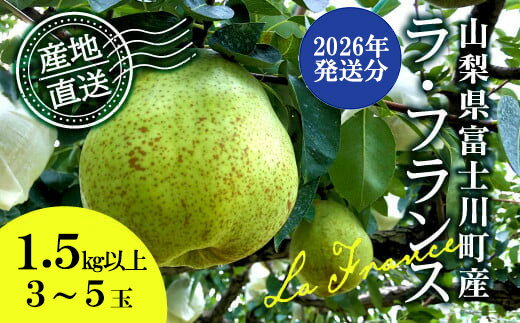 [2026年発送分 先行予約] ラ・フランス 3〜5玉 (約1.5kg) ※2026年10月中旬以降発送予定 洋ナシ 洋梨 フルーツ 果物 富士川町