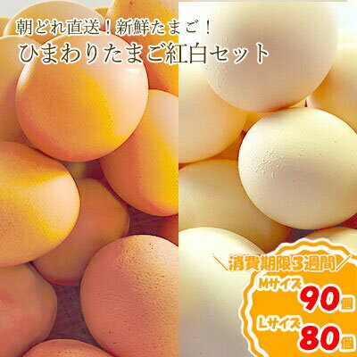 【ふるさと納税】ひまわりたまご紅白セット(2段)※破卵補償10個含(冷蔵) 卵 鶏卵 玉子