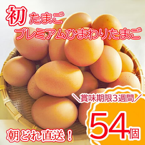 【ふるさと納税】\2-5日以内発送/初たまご プレミアムひまわりたまご54個程度※破卵補償 卵 たまご 鶏卵 玉子 大容量 たまごかけご飯 たまごかけごはん 最短 濃厚