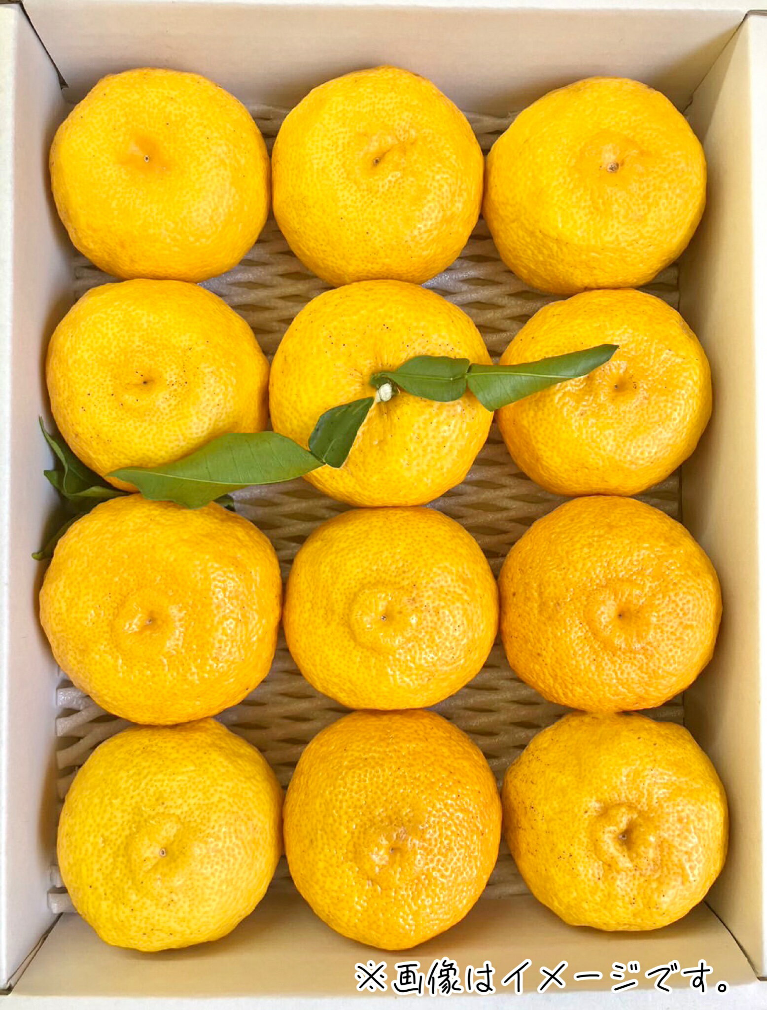 【ふるさと納税】富士川町産 穂積のゆず（優良品）約2.4kgのサムネイル