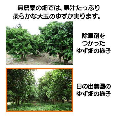 山梨県富士川町の画像2