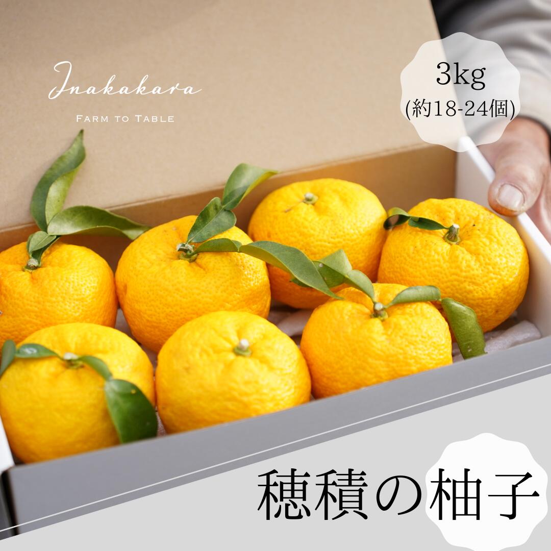 75位! 口コミ数「0件」評価「0」【2025年発送分】富士川町産 ゆず 約3kg　産地直送 穂積の柚子 マーマレードにも 柚子 ユズ 山梨 やまなし 富士川町【A5403】