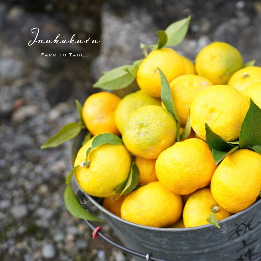 山梨県富士川町の画像3