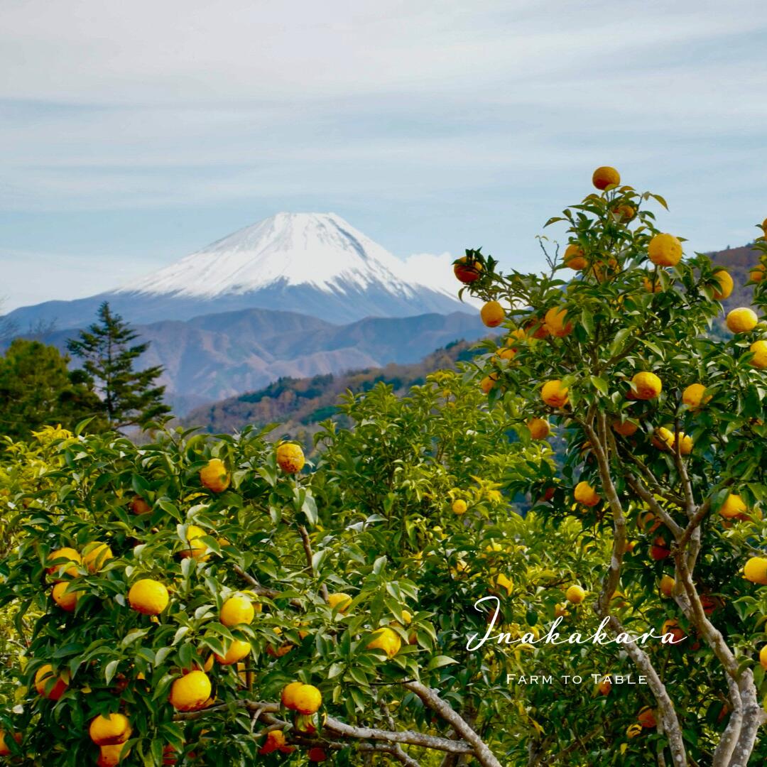 山梨県富士川町の画像2