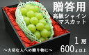 【ふるさと納税】【令和7年度先行予約】贈答用!希少価値の高い高級シャインマスカット(1房 600g以上) シャイン シャインマスカット マスカット 葡萄 ぶどう...