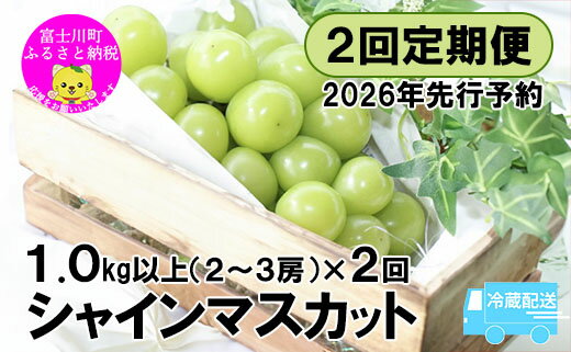 [2026年先行予約][2回定期便]頬張る幸福感 〜緑の宝石・シャインマスカット〜 計2kg(1.0kg以上・2〜3房を2回[9月上旬・下旬]お届け)※冷蔵発送※ ぶどう 葡萄 ブドウ 定期便 果物 くだもの フルーツ 山梨 やまなし 富士川町 シャインだけ