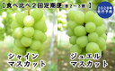 【ふるさと納税】【2026年発送分 先行予約】【2回食べ比べ定期便 別送】シャインマスカット(900g~1.4kg・2~3房)+ジュエルマスカット(900g~1.4kg・2~3房) ぶどう シャインマスカット ジュエルマスカット フルーツ 果物 山梨 やまなし 定期便 食べ比べ 先行予約