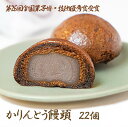 【ふるさと納税】竹林堂 看板商品!食感が楽しい!かりんとう饅頭 22個入 (冷凍)