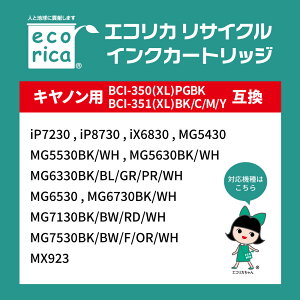 【ふるさと納税】エコリカ【キャノン用】 BCI-351+350/5MP互換リサイクルインク 5色パック（型番：ECI-C351-5P）