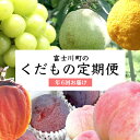 【ふるさと納税】山梨産 旬のくだもの定期便<年6回> 枯露柿 もも すもも貴陽 シャインマスカット ラフランス ゆず フルーツ