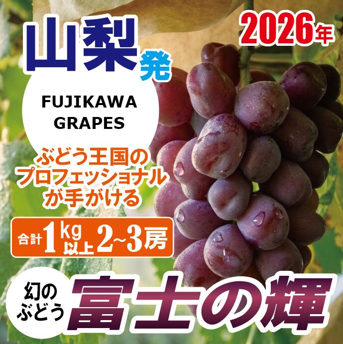 [超希少品種!]上級品をお得に [富士の輝] 1.0kg以上(2〜3房) [2026年発送分 先行予約]- FUJIKAWA GRAPES