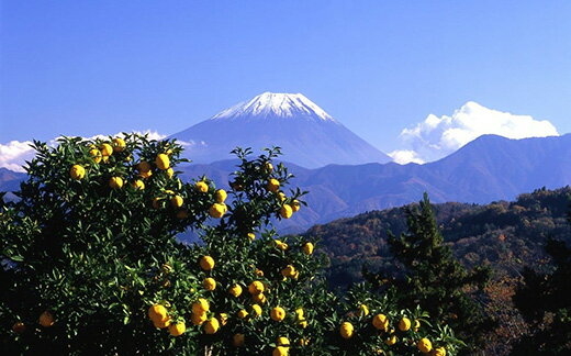 山梨県富士川町の画像3