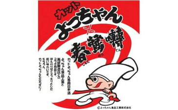 【ふるさと納税】カットよっちゃん専用日本酒300ml6本(カットよっちゃん付)