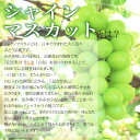 山梨県富士川町の画像3