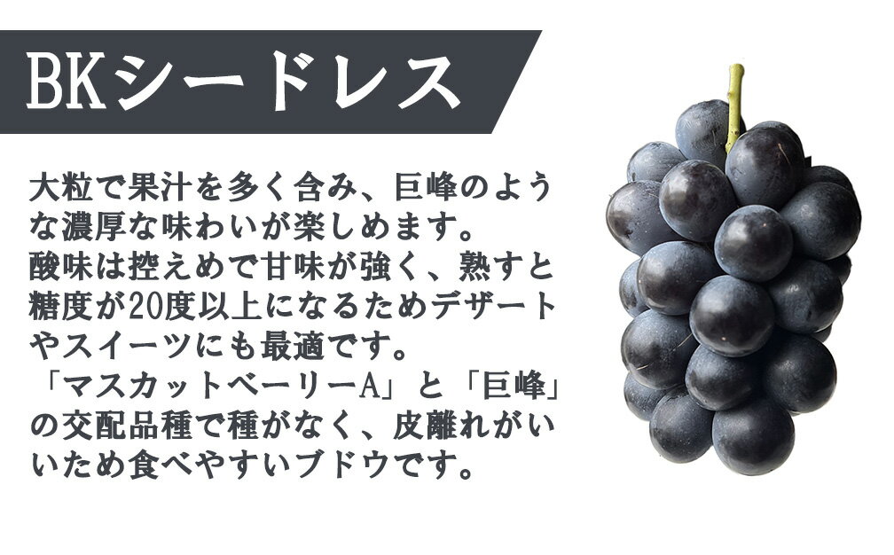 【ふるさと納税】【フルーツ（ぶどう）定期便《秀品以上》】シャインマスカット（1kg以上・2房）＋ BKシードレス（1kg以上・3房）　【2026年発送分 先行予約】- FUJIKAWA GRAPES -