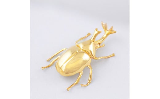 �ڤդ뤵��Ǽ�ǡ���ʪ�ե����奢(1��)����200g���� ��ʪ ���֥��� ����ƥꥢ 24�� K24 ���