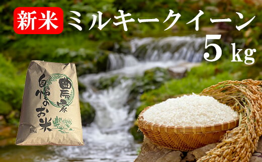 [数量限定][山梨県産][新米]ミルキークイーン 5kg お米 米 精米 色彩選別 ライス 山梨 やまなし 富士川町