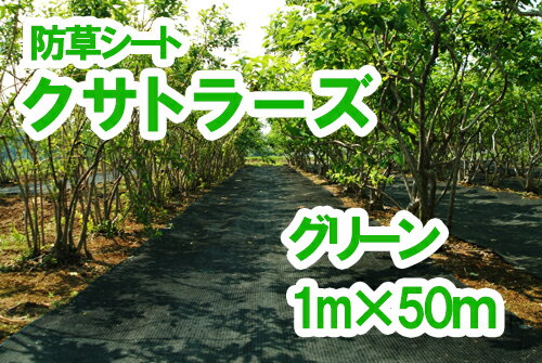 【ふるさと納税】【防草シート】クサトラーズ（1m×50m）グリーン