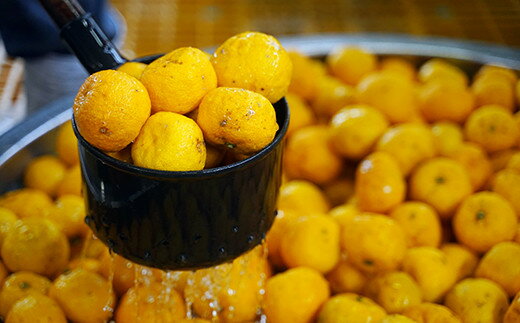 山梨県富士川町の画像3