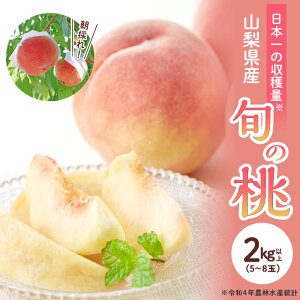 【ふるさと納税】 ふるさと納税 桃 もも モモ 白桃 フルーツ 果物 くだもの デザート 旬 産地直送 甘い お取り寄せ 期間限定 おすすめ 人気 山梨県 昭和町 【2025年発送】山梨県産 旬の桃 2kg以上(5~8玉)ふるさと納税 先行予約 SWAB009