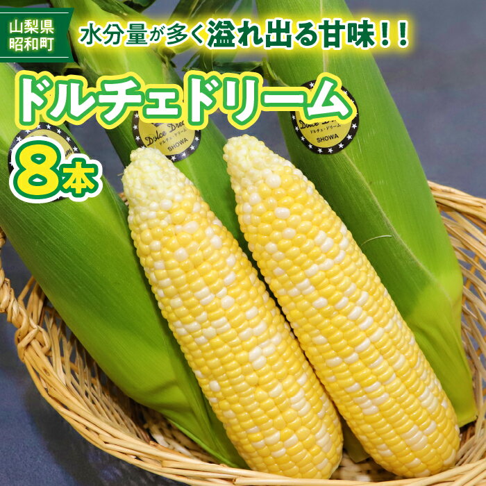 ふるさと納税 とうもろこし トウモロコシ ゴールドラッシュ 朝採り 甘い 産地直送 野菜 新鮮 旬 贈り物 お取り寄せ お土産 国産 産地直送 ギフト 人気 おすすめ 山梨県 昭和町 昭和町ブランドとうもろこし「ドルチェドリーム」