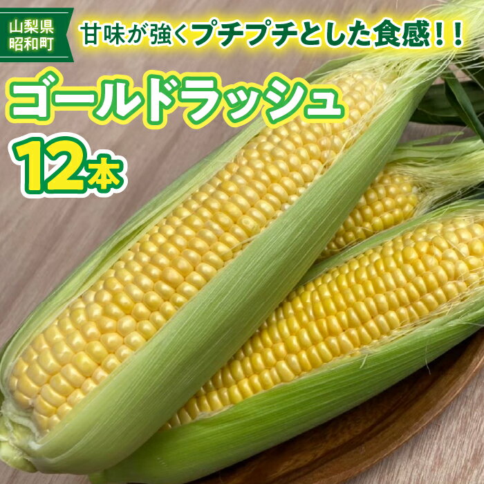 ふるさと納税 とうもろこし トウモロコシ ゴールドラッシュ 朝採り 甘い 産地直送 野菜 新鮮 旬 贈り物 お取り寄せ お土産 国産 ギフト 産地直送 人気 おすすめ 山梨県 昭和町 昭和町ブランドとうもろこし「GOLDラッシュ」 SWBN002