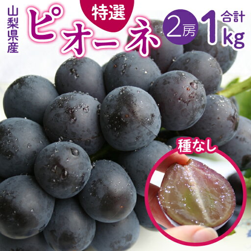 【ふるさと納税】ふるさと納税 山梨県産 種無し ピオーネ 種なし 先行予約 ぶどう 葡萄 青果 フルーツ ブドウ 人気 ギフト プレゼント お祝い 山梨県 昭和町 贈り物 送料無料 おすすめ<2025年/令和7年発送先行予約>山梨県産 種無しピオーネ約500g×2房SWAM001 【ふるさと納税】ふるさと納税 山梨県産 種無し ピオーネ 種なし 先行予約 ぶどう 葡萄 青果 フルーツ ブドウ 人気 ギフト プレゼント お祝い 山梨県 昭和町 贈り物 送料無料 おすすめ<2025年/令和7年発送先行予約>山梨県産 種無しピオーネ約500g×2房SWAM001