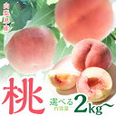 <2026年発送先行予約>【ふるさと納税】山梨県産 桃 選べる容量 SWCN001-2kg