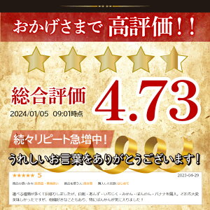 【ふるさと納税】 富士山麓の無添加手作りジャム 10種から選べる6本セットふるさと納税 ジャム 手作りジャム 無添加 パン セット 贈答 プレゼント 山梨県 道志村 送料無料 DSC002