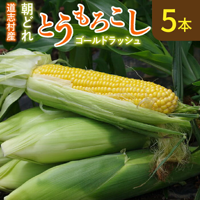 2位! 口コミ数「0件」評価「0」 【先行予約】新鮮！朝どれトウモロコシ【5本入】 ※北海道・沖縄・離島への配送不可 ※着日指定不可 ふるさと納税 野菜 やさい コーン とう･･･ 