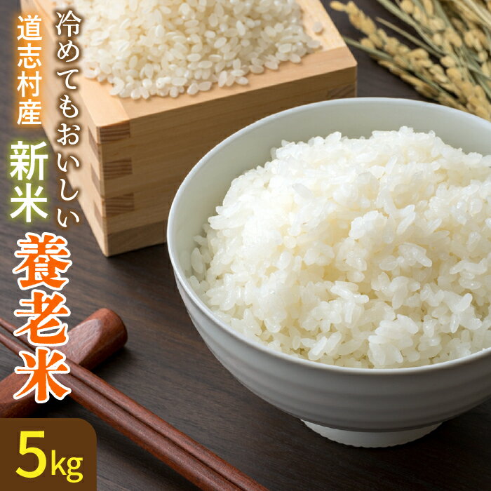 22位! 口コミ数「0件」評価「0」 【先行予約】米【5kg】～養老米～ ※北海道・沖縄・離島への配送不可 ※着日指定不可 ふるさと納税 米 こめ 精米 養老米 あきたこまち ･･･ 