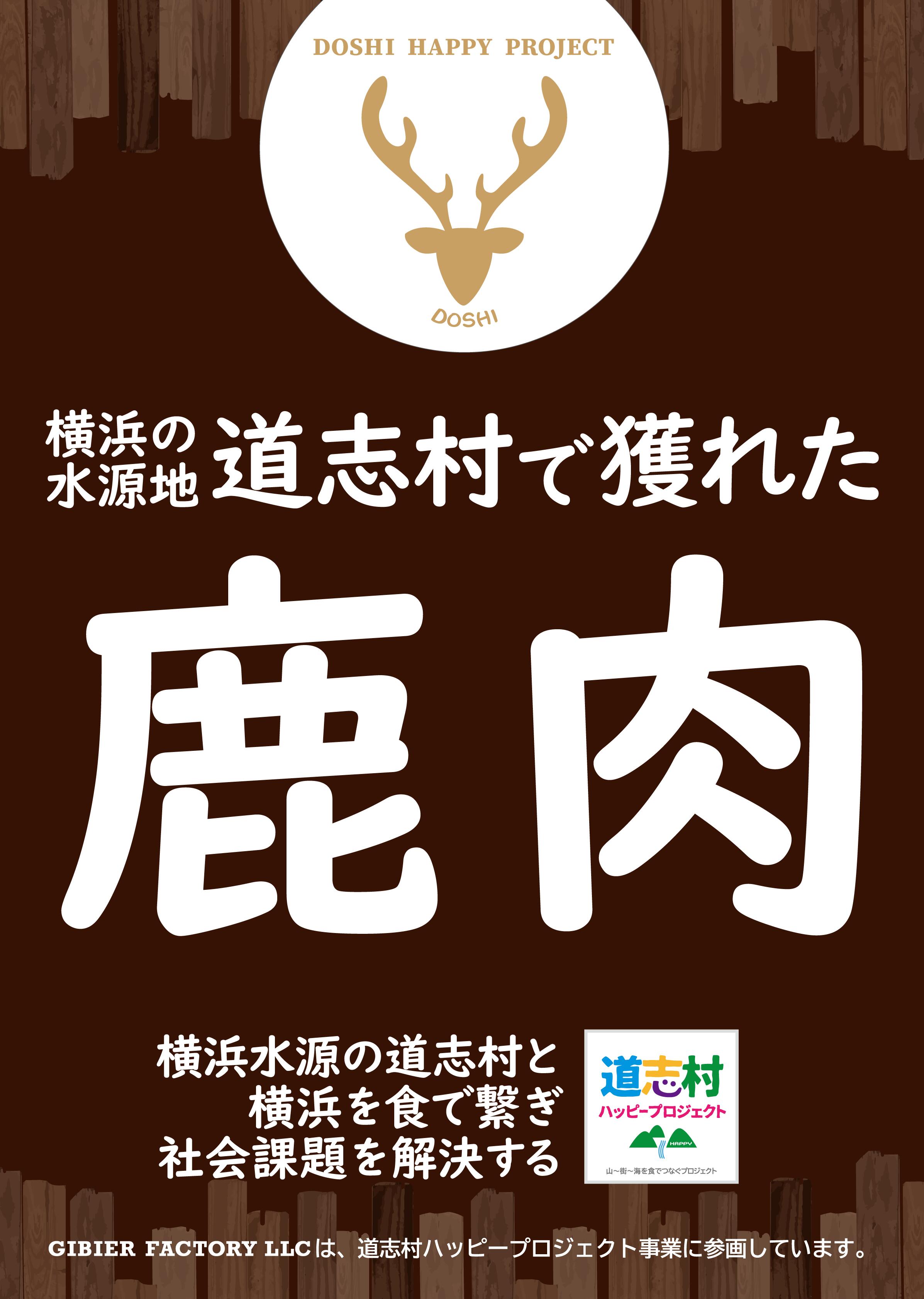 【ふるさと納税】 道志村で獲れた鹿肉のスライス　200g×2 DSH018 ふるさと納税 鹿 鹿肉 ジビエ 道志村 山梨県