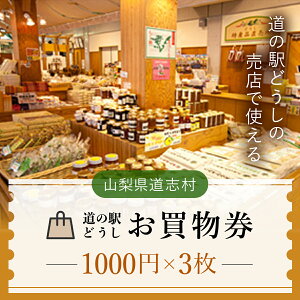 【ふるさと納税】 道の駅どうし お買物券(3枚)※着日指定送不可 ふるさと納税 お買物券 ショッピングチケット 道の駅 お土産 ギフト券 山梨県 道志村 送料無料 DSH004