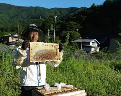 【ふるさと納税】道志村産　森のはちみつ（130g×2本） 画像1