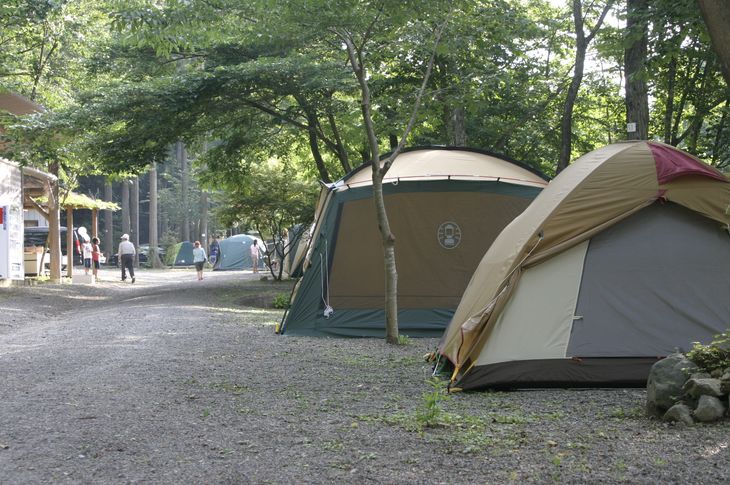 【ふるさと納税】 道志村各施設(キャンプ場、民...の紹介画像2