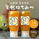 【ふるさと納税】 道志村産 天然はちみつボトルタイプ 500g×2本 ふるさと納税 はちみつ ハチミツ 蜂蜜 ハニー パン 食パン 山梨県 道志村 送料無料 D...