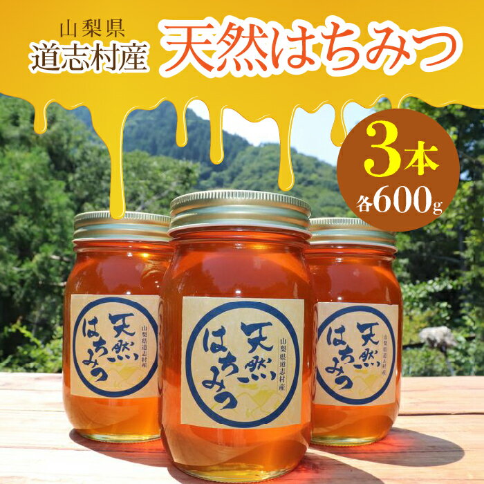 【ふるさと納税】 道志村産　天然はちみつ（600g×3本）ふるさと納税 はちみつ ハチミツ 蜂蜜 ハニー パン 食パン 山梨県 道志村 送料無料 DSD002のサムネイル