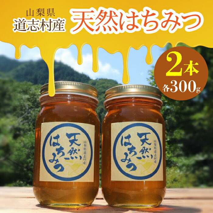 【ふるさと納税】 道志村産　天然はちみつ（300g×2本）ふるさと納税 はちみつ ハチミツ 蜂蜜 ハニー パン 食パン 山梨県 道志村 送料無料 DSD004