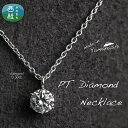 【ふるさと納税】 ダイヤ ダイヤモンド ネックレス 0.30ct (RP_MN-423) 鑑別書 保証書 ケース 付 ジュエリー アクセサリー 宝石 プラチナ ...