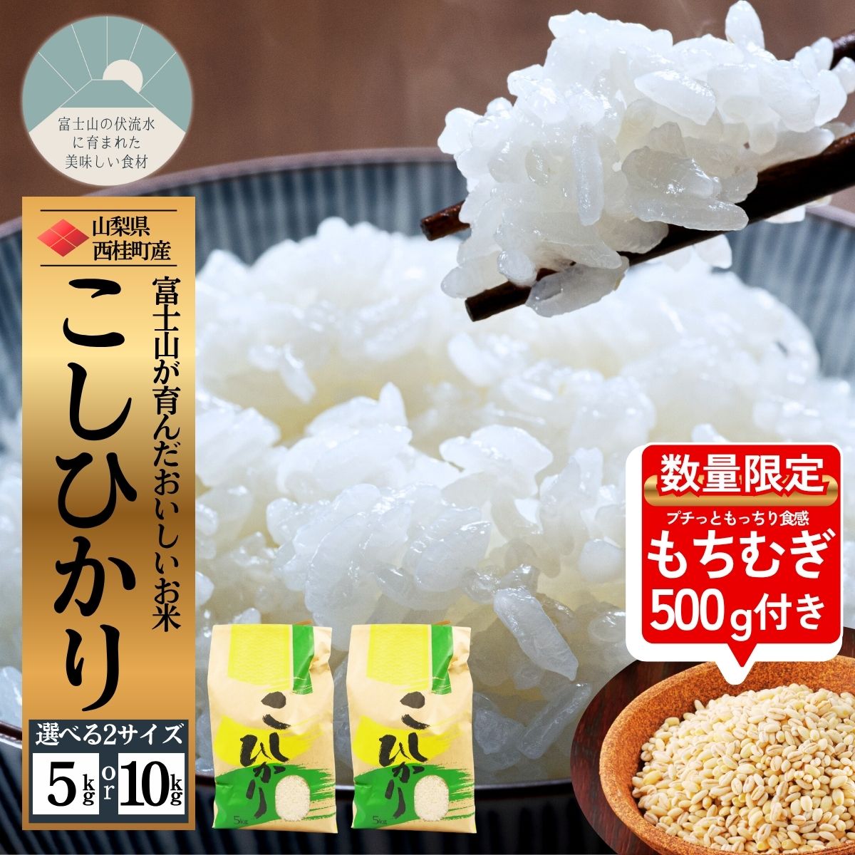 新米 コシヒカリ 今だけ数量限定でもち麦500g付き! 選べる容量 / 国産 こしひかり 5キロ 10キロ 令和7年 新米 米 お米 保存袋 生活必需品 ギフト 贈り物 お歳暮 ふるさと納税 送料無料 [n0663_nsk]