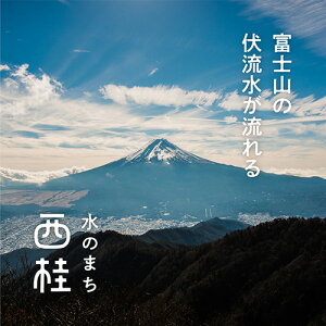 【ふるさと納税】No.183 米粉でつくった乾パンセット【アレルギー特定原材料28品目使用なし】 ／ 災害備蓄用 非常食 長期保存 送料無料 山梨県