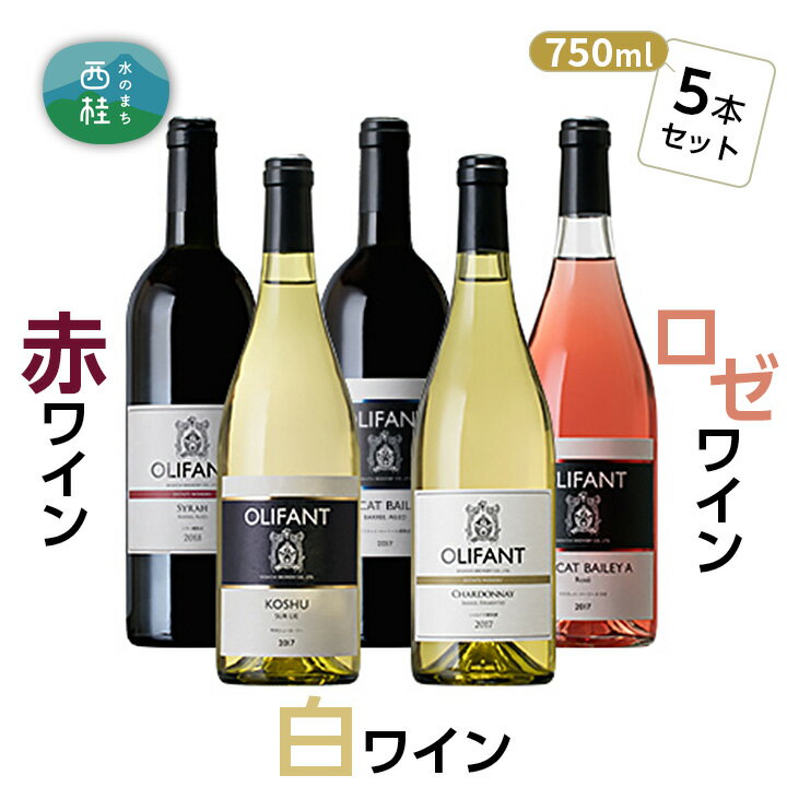 【ふるさと納税】No.156 笹一酒造OLIFANT【赤・白】 750ml×5本 ／ ワイン 白 シュール・リー 辛口 シャルドネ 赤 マスカット・ベリーA ミディアムボディ シラー ロゼ 送料無料 山梨県