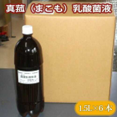 【ふるさと納税】 No.228 真菰(まこも)乳酸菌液 1.5L×6本 / マコモ 液体 送料無料 山梨県