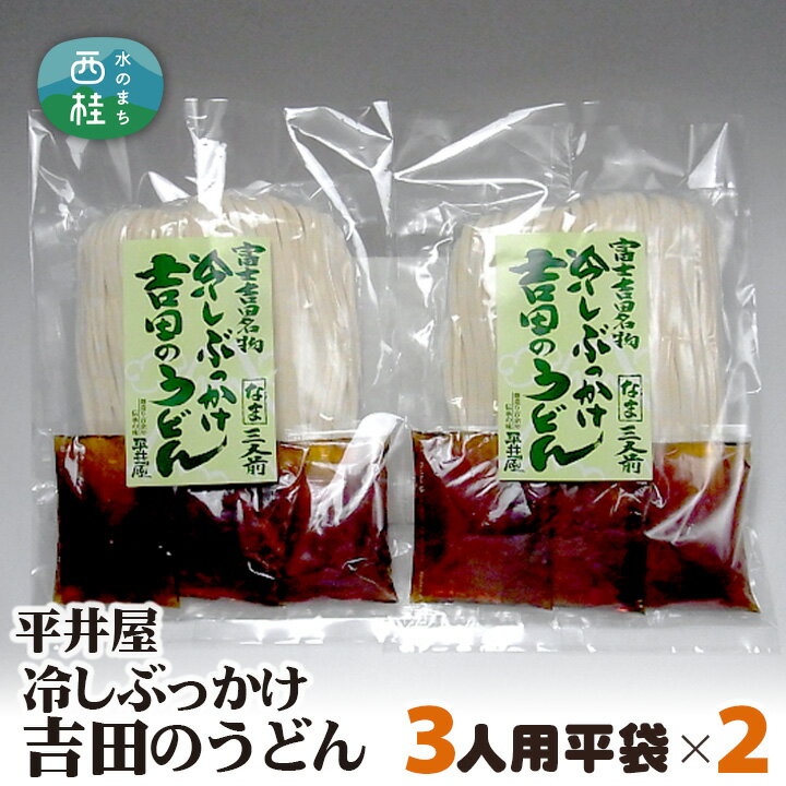 冷しぶっかけ吉田のうどん3人用平袋×2パック / セット 饂飩 麺 送料無料 山梨県 特産品